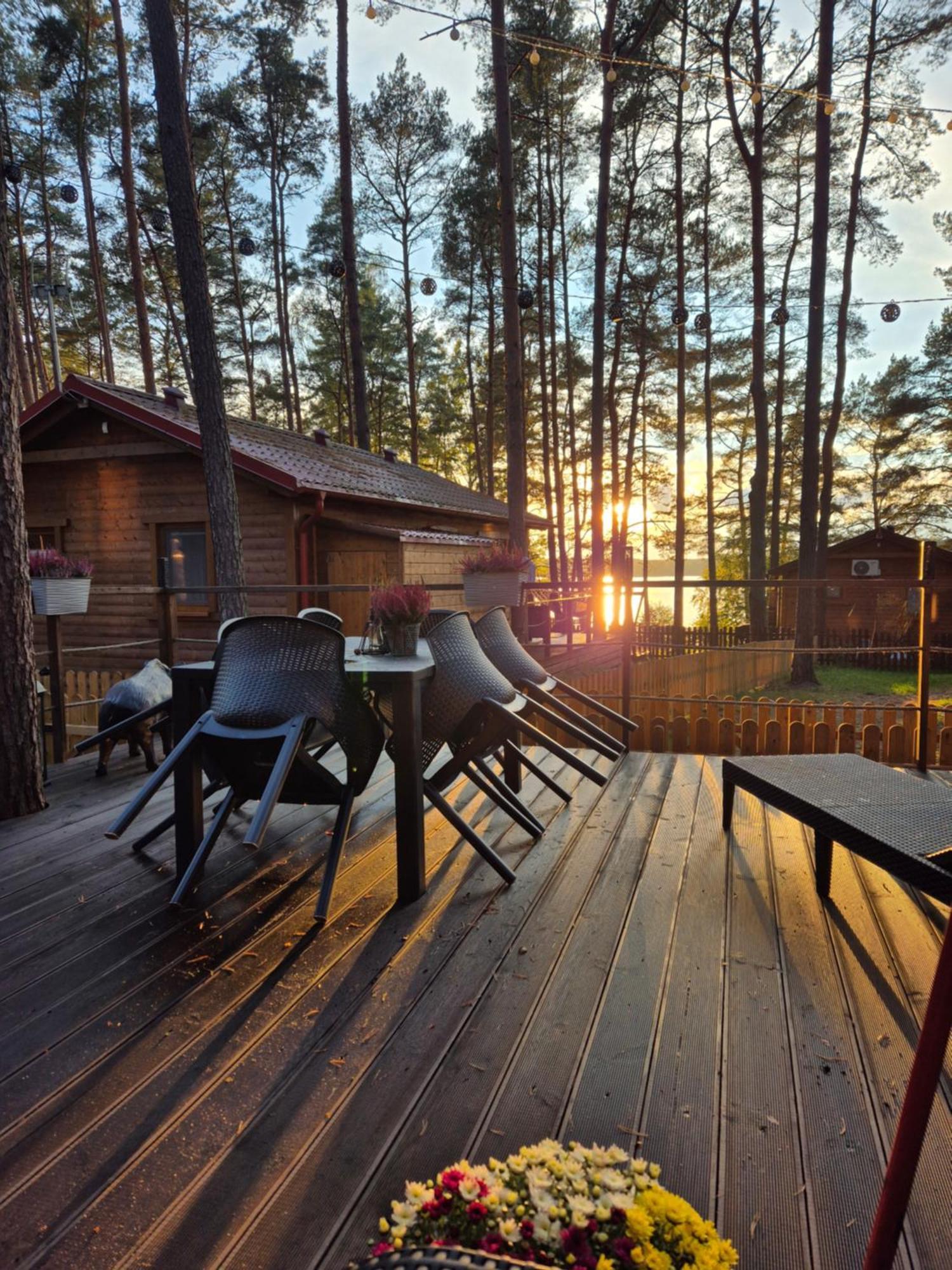 Dzik W Zagrodzie Hotel บอร์ส ภายนอก รูปภาพ